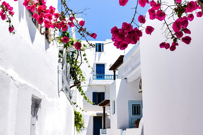 2 Hours Feel Like A Local Walking Tour in Mykonos Town - Getting your bearings fast in Mykonos Town