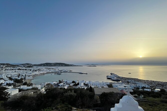 4 Hour Private Island Tour in Mykonos - Mykonos in a day - Price and Value: Does $176.21 Actually Make Sense?