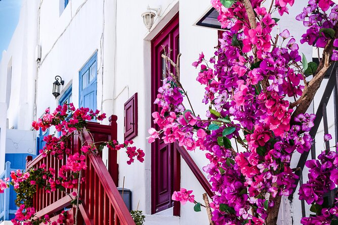 4Hours Mykonos Adventure Walk in Town & Minivan Countryside Tour - Meeting point and timing: the fast way to avoid stress