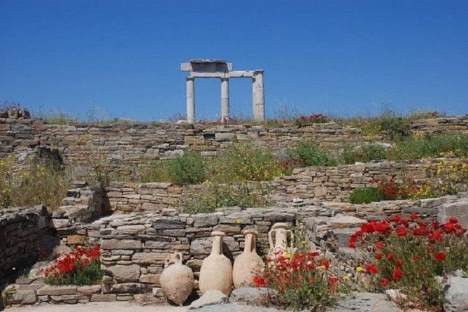 Delos Tour from Mykonos - Timing, Crowds, and the Wet-Shoe Factor