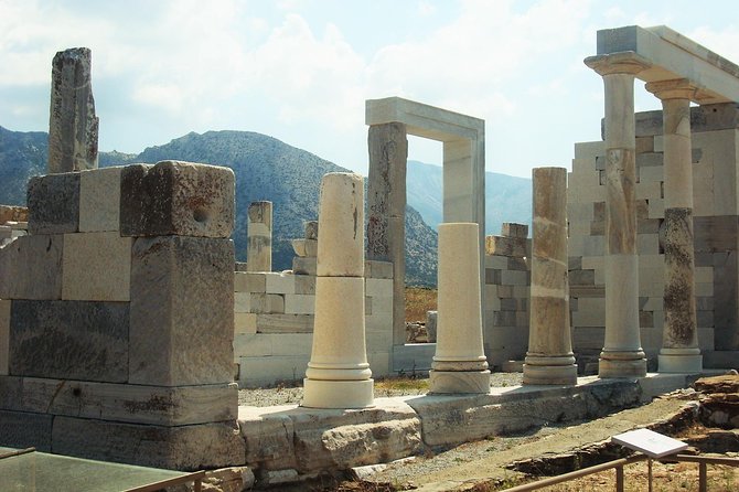 Delos Tour from Mykonos - Who This Delos Tour Is Best For