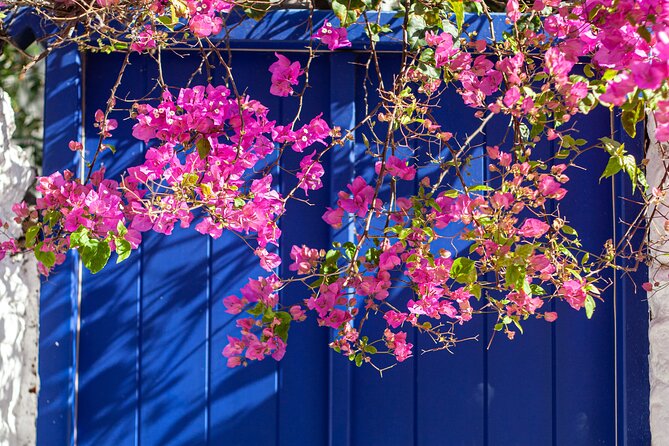 Discover Mykonos in 4 Hours: Beaches, Villages and Town - Key highlights at a glance