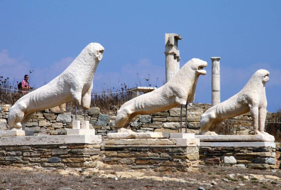 From Mykonos: Ancient Delos Tour - Your guided walk: Agora, markets, and the story of a city