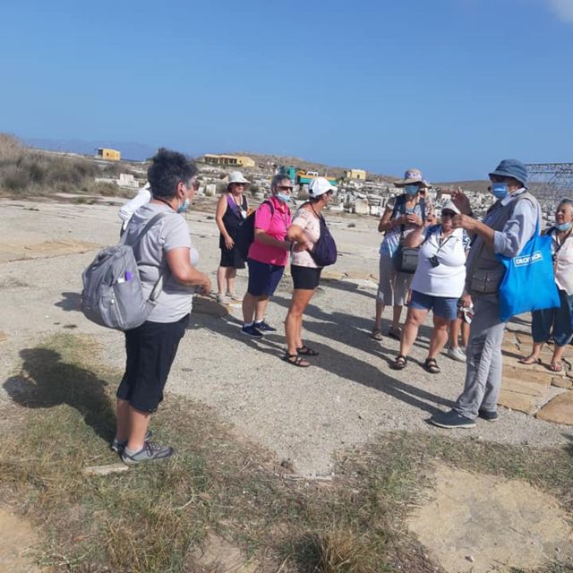 From Mykonos: Ancient Delos Tour - The Sacred Way and the Temple of Apollo: where the myth has a route