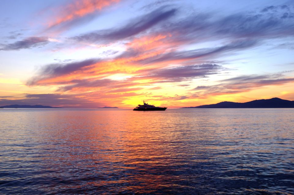 From Mykonos Cruise Port: Afternoon Delos Guided Tour - Key highlights to expect