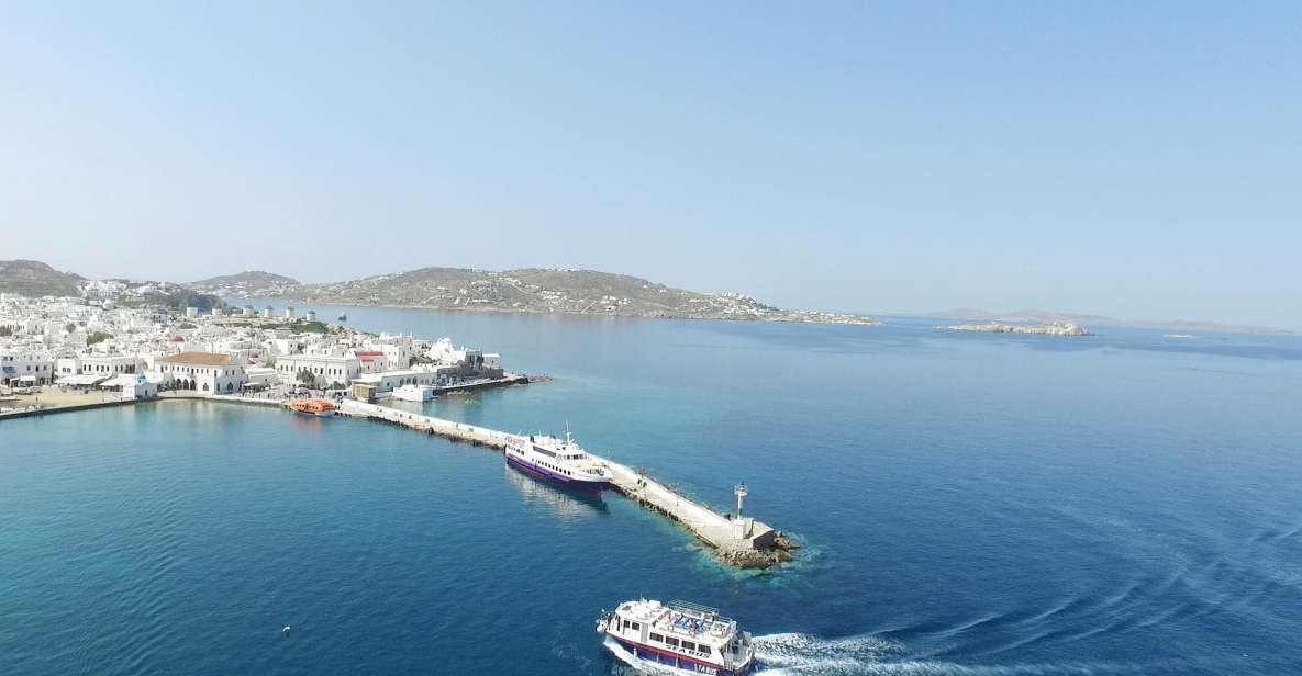 From Mykonos Cruise Port: Afternoon Delos Guided Tour - Free time strategy: make 45 minutes work for you