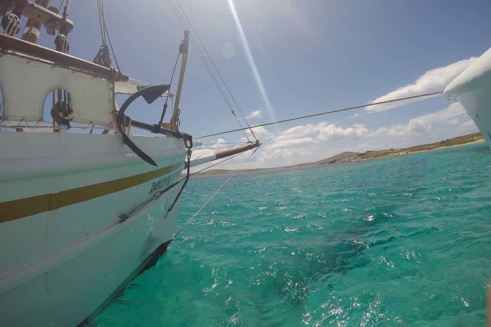 From Mykonos: Delos & Rhenia Islands Half-Day Trip by Boat - Price and value: paying for boat time plus two experiences