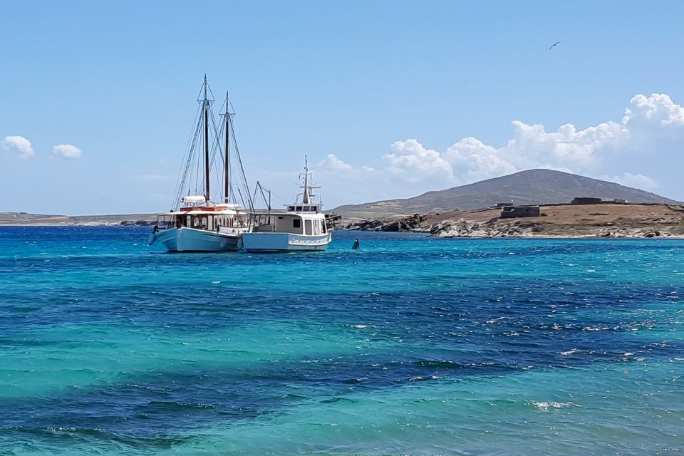 From Mykonos: Delos & Rhenia Islands Half-Day Trip by Boat - Who this trip fits best (and who should think twice)