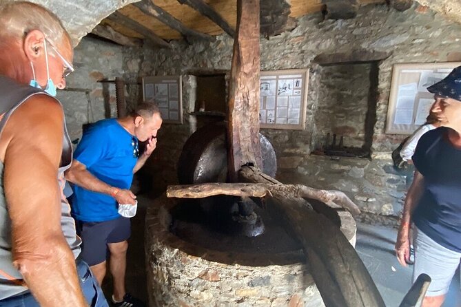 Full-Day Private highlights tour in Naxos island - Stop 2: Damalas pottery and the olive workings
