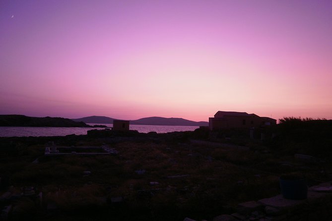 Half-Day Delos Tour from Mykonos - House of Dionysos, Cleopatra, and the mosaics: the stops that feel personal