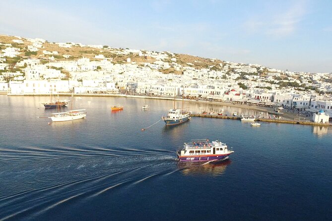 Half Day Delos Tour of Mykonos from the Cruise Ship Port - The Boat Ride to Delos: Short, But Plan for a Crowded Feel