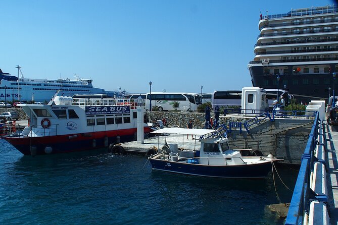 Half Day Delos Tour of Mykonos from the Cruise Ship Port - What to Bring: Shoes, Water, Cash, and Photo ID