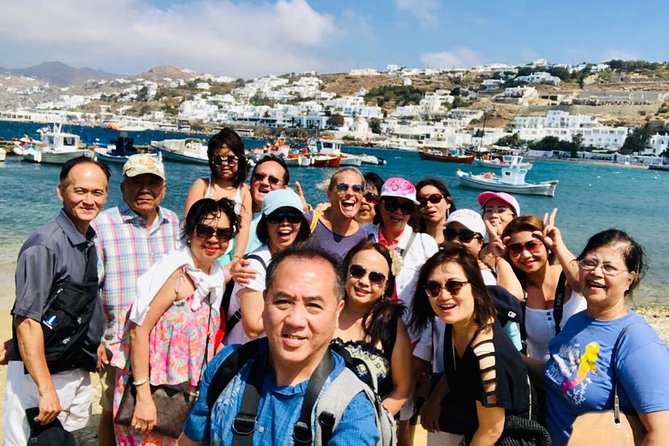 Luxury Tour of Mykonos with English-Speaking Driver - Elia beach time and your right to choose the shore