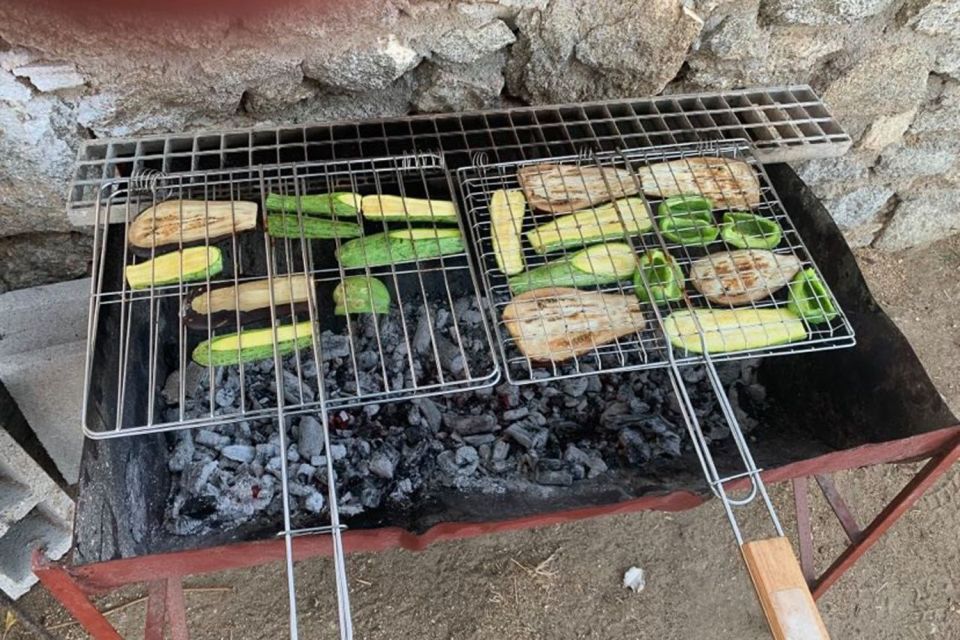 Mykonos: Barbecue at a Mykonian Farm - The animal encounter with pigs, goats, and donkey Konstantis