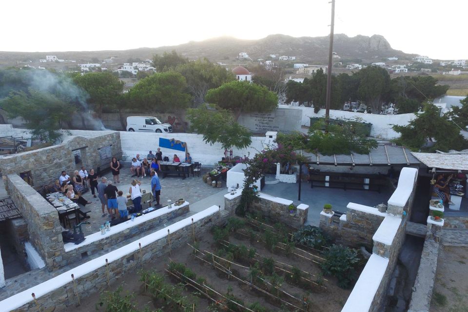 Mykonos: Barbecue at a Mykonian Farm - Cooking lessons you’ll actually use later: horiatiki, tzatziki, omelet