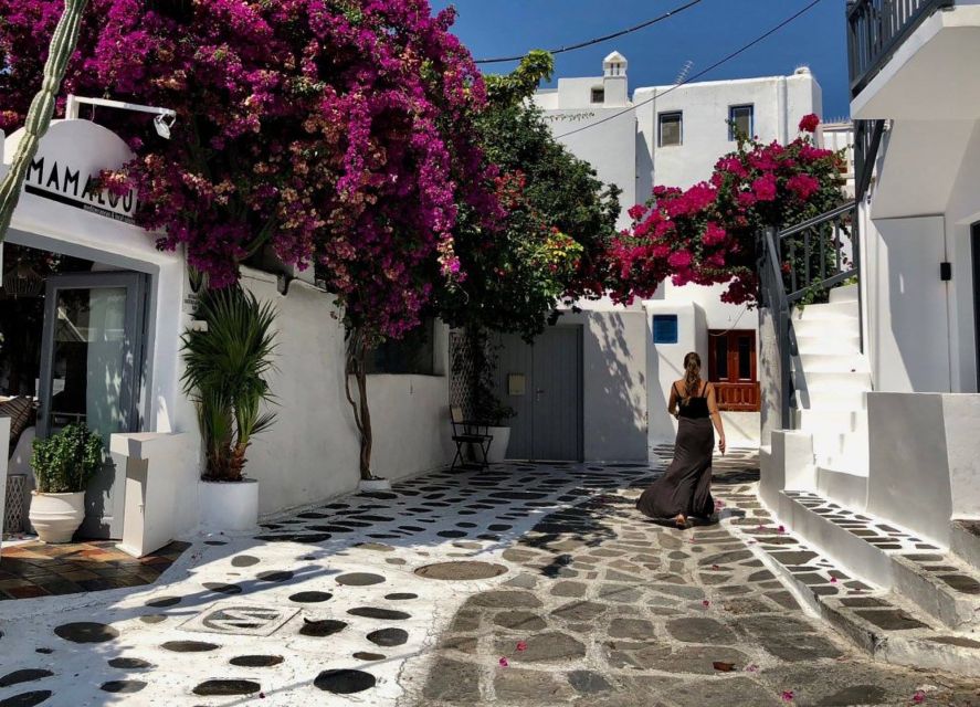 Mykonos: Full-Day Sightseeing Tour with Lunch - Who Should Book This Tour (and Who Might Want to Skip It)