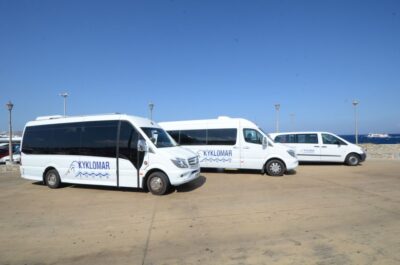 Mykonos: Half-Day City Walking Tour and Island Bus Tour - Price and what $56 buys you in the real world