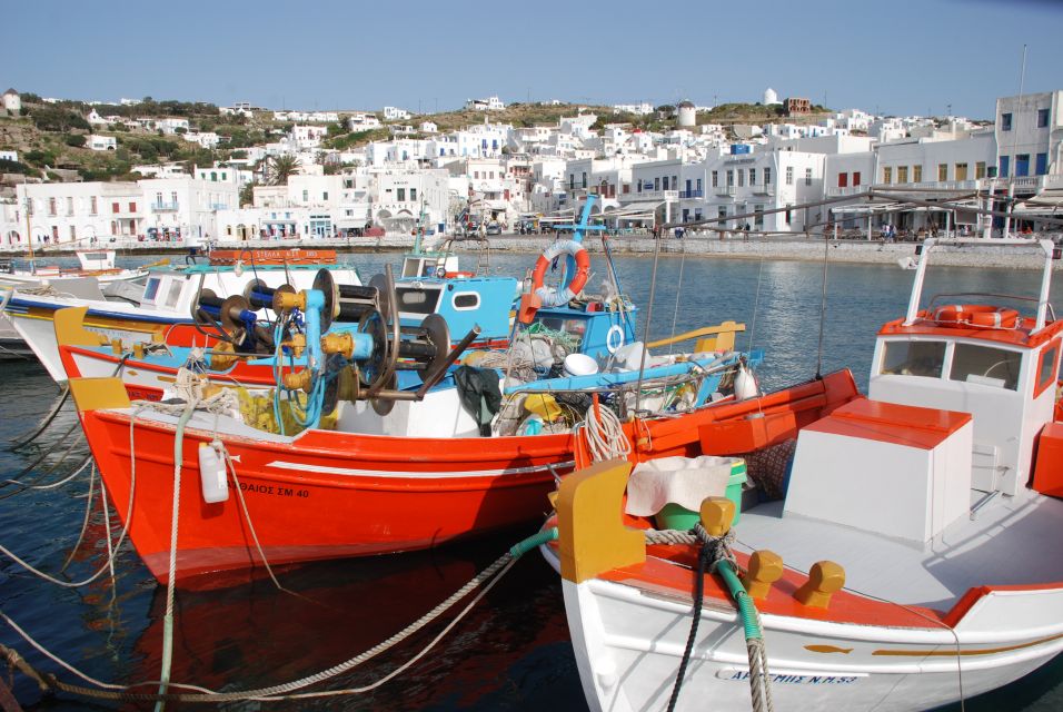 Mykonos: Half-Day City Walking Tour and Island Bus Tour - Beach stops: Ornos, Agios Giannis, and Kalafatis in one efficient loop