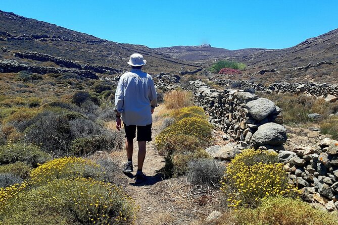 Mykonos Half-Day Hiking Adventure - Ending at Mykonos Vioma Organic Farm: vines, animals, and the option to linger