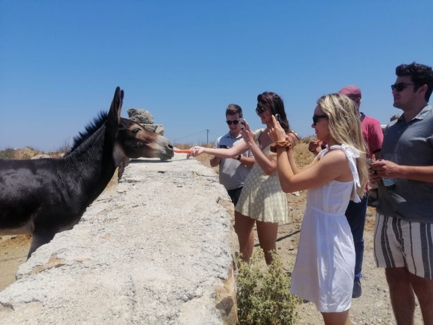 Mykonos: Highlights Tour with Panagia Tourliani Monastery - Windmills, Little Venice, and Paraportiani without the rushed feeling