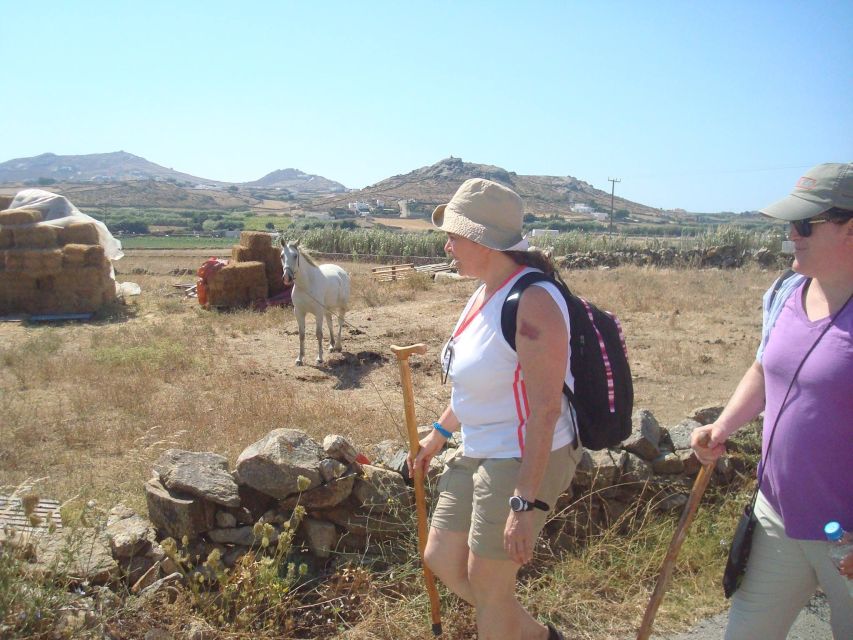 Mykonos Hiking Adventure - The dam viewpoint and the short reset before Mirsinis Beach