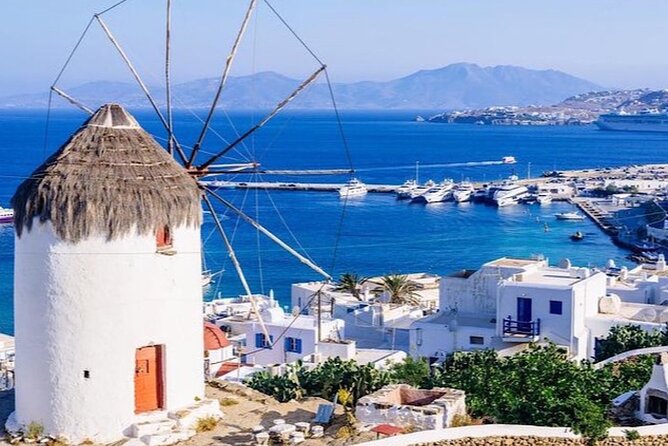 Mykonos island Private Tour with Pick-up Included - Who Should Book This Tour (and Who Might Skip It)