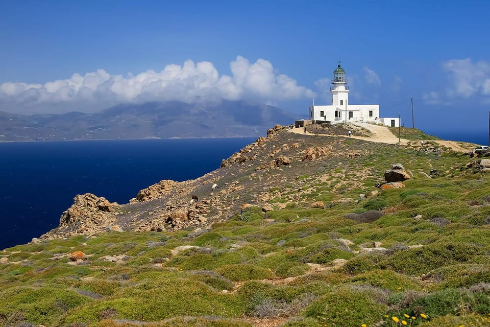 Mykonos: Private Tour Island With A Local - Panormos and Ftelia: beaches with stories, not just sand