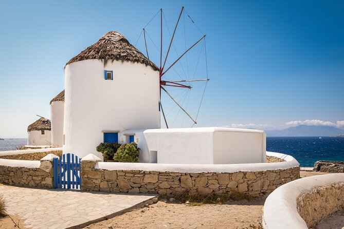 Mykonos Shore Excursion: Elia Beach & Town Exploration - Getting Back to Your Ship: The Return Ride That Keeps You Safe