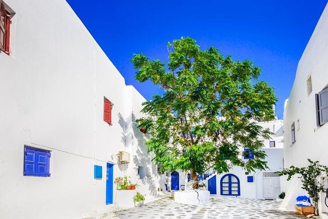 Mykonos Town and Island Half-Day Tour - Price value: what $64.96 buys you and where costs can creep in