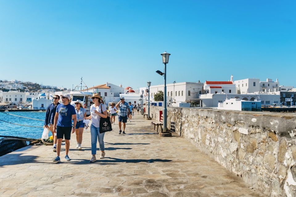 Mykonos Town: Archaeological Site of Delos Guided Day Trip - Walking Delos’s main street: market ruins and sacred landmarks