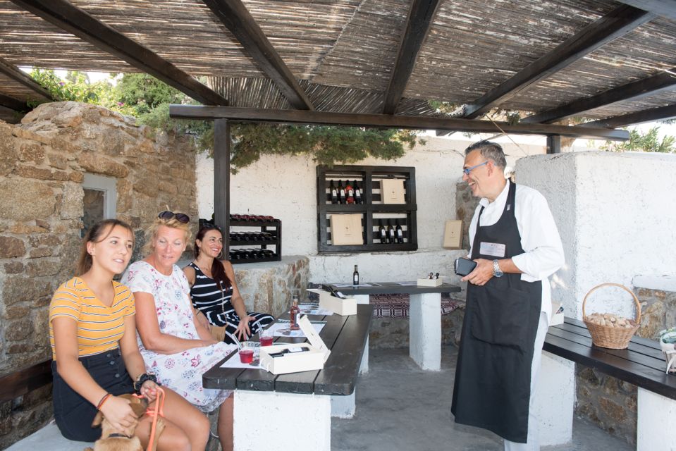 Mykonos: Wine Tasting at a Mykonian Farm - From Hora to Ano Mera: the ride that actually matters