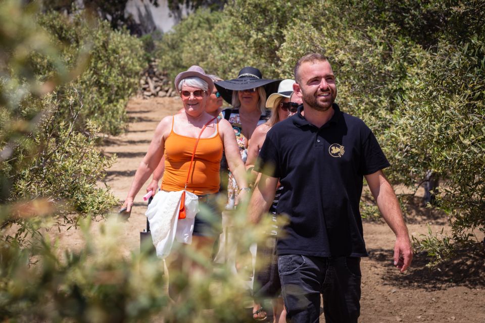 Mykonos: Winery Vineyard Experience with Food & Wine Tasting - Food and wine tasting on-site: what you actually eat