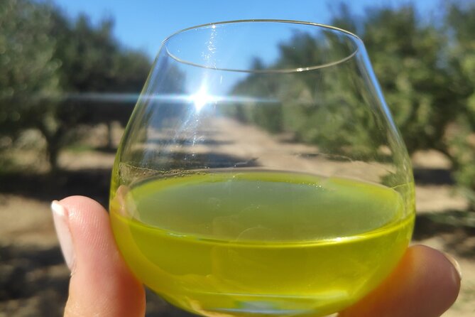 Olive Oil Tasting at the Mykonian Farm - The 2-hour flow: what happens during the tasting class