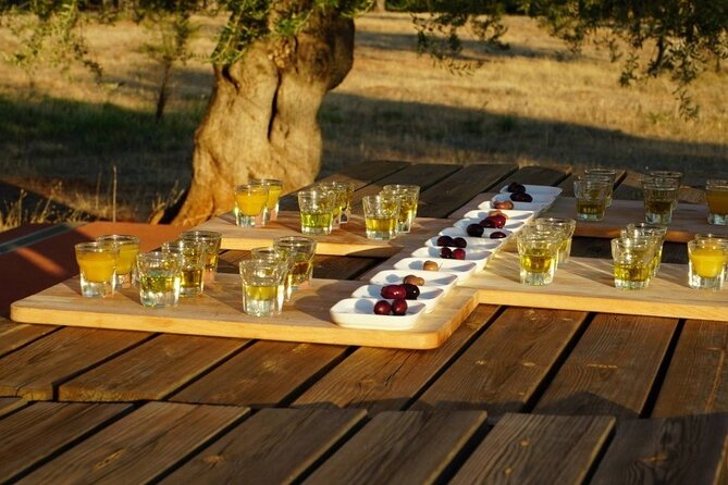 Olive Oil Tasting at the Mykonian Farm - The farm part: animals, then possible food and wine