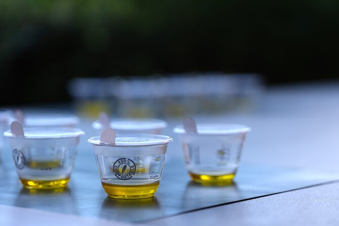 Olive Oil Tasting at the Mykonian Farm - Price on Mykonos: is $104.28 good value?