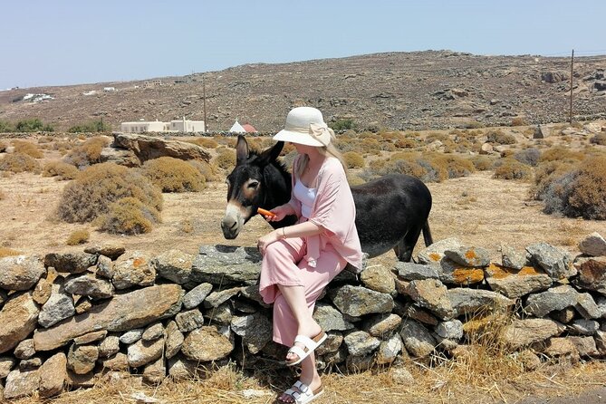 Private Half-Day Mykonos Insider Tour with Pick Up - Panagia Tourliani Monastery and the Village Square Atmosphere