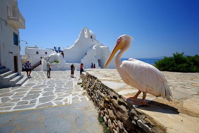 Private Half-Day Mykonos Insider Tour with Pick Up - Kalafati and Kalo Livadi: A Photo Stop That Turns Into Real Beach Time