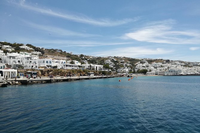 Private Mykonos island sightseeing tour. - Price and Value: When $185.22 Makes Sense