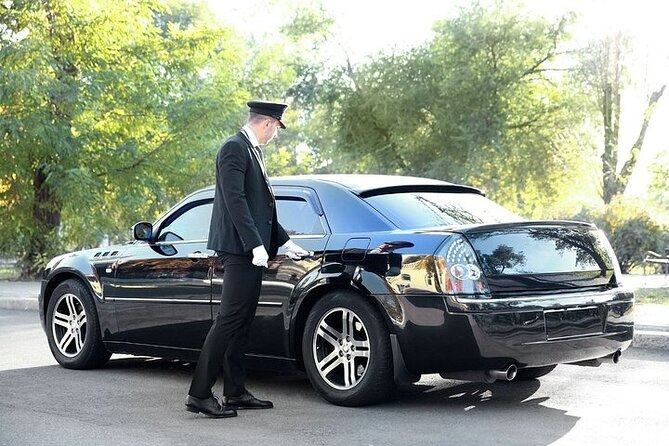 Private One-way Transfer From Mykonos Airport To Mykonos - Waiting Time: The 45-Minute Buffer That Saves You Stress