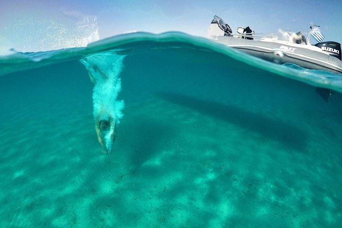 Private Speedboat Cruise from Delos to Rhenia and Mykonos - The 10:00 AM Ornos dock start and what it means for your day