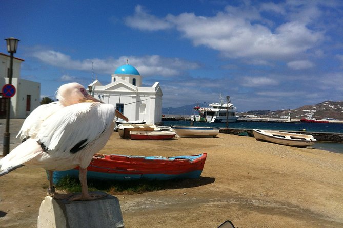 Private Tour: Mykonos Island in Half a Day - Paraportiani Church: iconic, compact, and worth the stop