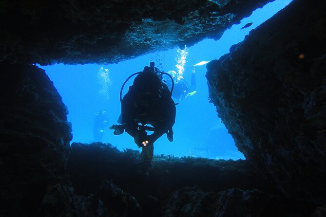 Qualified Diver 1 Tank Dive in Mykonos - Small Group, Big Attention: What Makes This Feel Personal