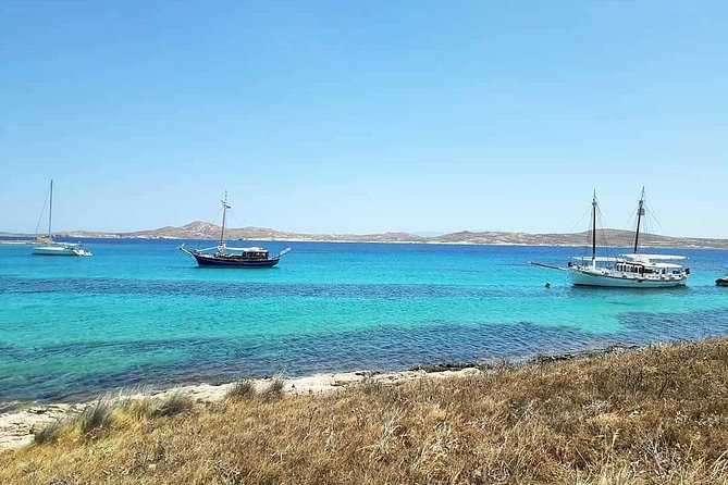 The Authentic Rhenia-Delos Cruise - Delos: UNESCO ruins with a self-guided pace (and a fee you must budget)