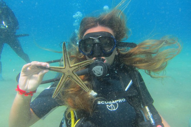 Try a DIVE, discover scuba diving in Mykonos - Lia Beach Makes First-Time Scuba Feel Easy (And Not Crowded)