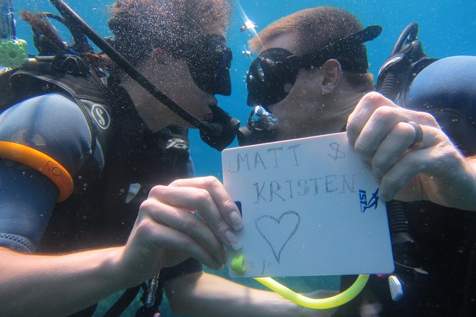 Try a DIVE, discover scuba diving in Mykonos - Price and Value: Is $193.57 Worth It in Mykonos?