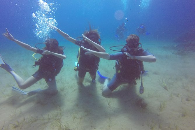 Try a DIVE, discover scuba diving in Mykonos - Who This Experience Is Best For (And Who Should Skip It)