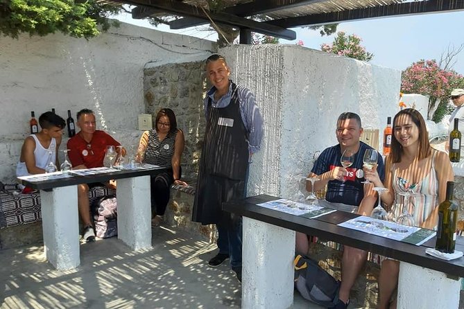 Wine Tasting Tour at a traditional farm in Mykonos - Transport and Meeting Points: The Details That Keep You From Running Around
