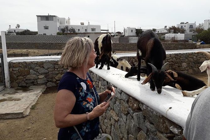 Wine Tasting Tour at a traditional farm in Mykonos - Who Should Book This (and Who Should Pass)
